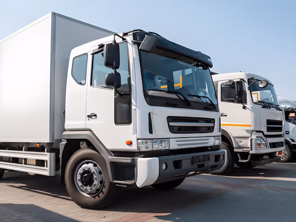 Nhiều loại khác ...